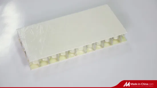 Pannelli compositi leggeri in plastica FRP con nucleo a nido d'ape in polipropilene in fibra di vetro per rimorchio 4X8 in fibra di vetro